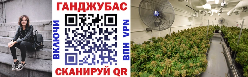 Купить закладку Марихуана  Мефедрон  Галлюциногенные грибы  Амфетамин  ГАШ  A PVP  Очёр