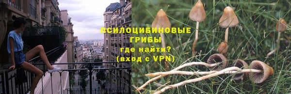 экстази Козловка