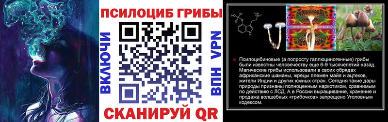 Псилоцибиновые грибы мицелий  Купить закладки  Очёр 